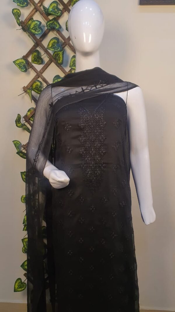 Elegant Chiffon Ladies' Cloth B Black